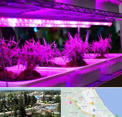 فروش لامپ رشد گیاه در رودسر