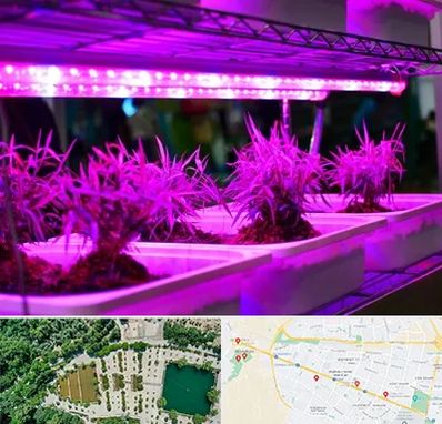 فروش لامپ رشد گیاه در وکیل آباد مشهد 