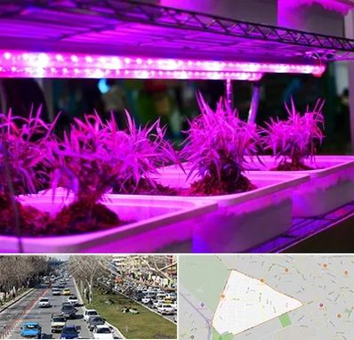 فروش لامپ رشد گیاه در احمدآباد مشهد 