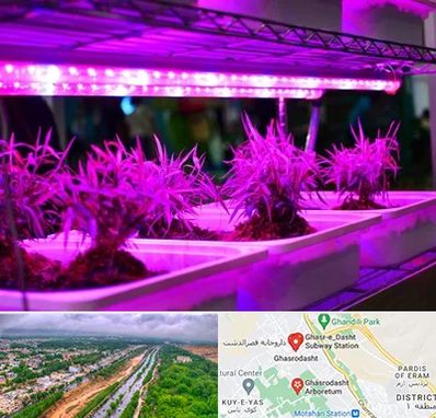 فروش لامپ رشد گیاه در قصرالدشت شیراز 