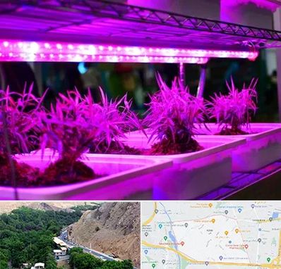 فروش لامپ رشد گیاه در کن 