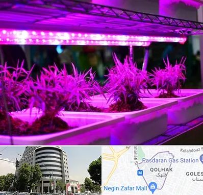 فروش لامپ رشد گیاه در قلهک 