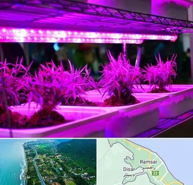 فروش لامپ رشد گیاه در رامسر