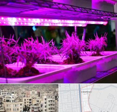 فروش لامپ رشد گیاه در اسکندری