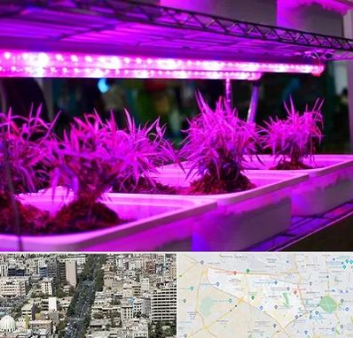 فروش لامپ رشد گیاه در منطقه 18 تهران 