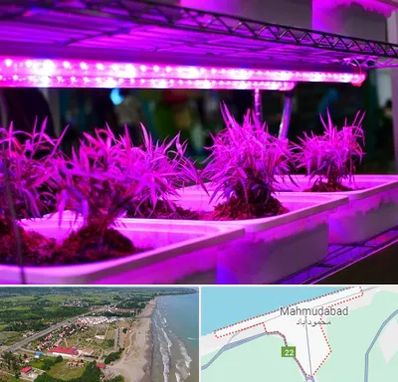 فروش لامپ رشد گیاه در محمودآباد