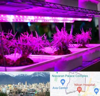 فروش لامپ رشد گیاه در آجودانیه 