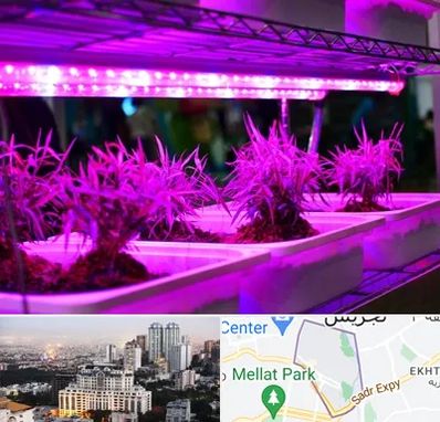 فروش لامپ رشد گیاه در الهیه 