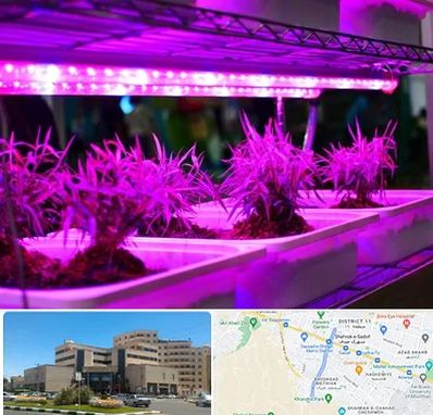 فروش لامپ رشد گیاه در صیاد شیرازی مشهد 