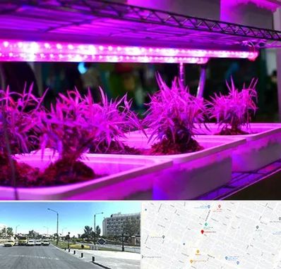 فروش لامپ رشد گیاه در بلوار کلاهدوز مشهد 