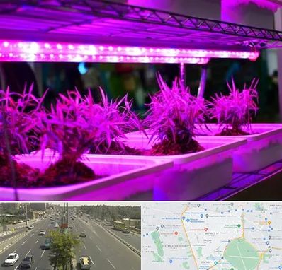 فروش لامپ رشد گیاه در منطقه 17 تهران 