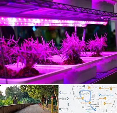 فروش لامپ رشد گیاه در فلکه گاز رشت 