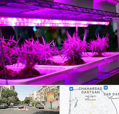 فروش لامپ رشد گیاه در چهارصد دستگاه 