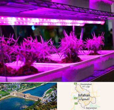 فروش لامپ رشد گیاه در اصفهان
