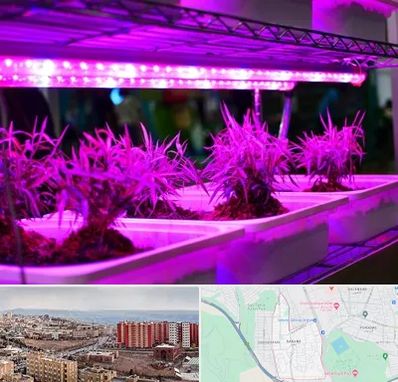 فروش لامپ رشد گیاه در سهند تبریز