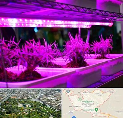 فروش لامپ رشد گیاه در شهرکرد