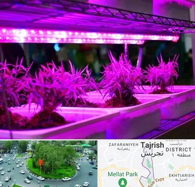 فروش لامپ رشد گیاه در تجریش 