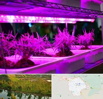 فروش لامپ رشد گیاه در بهبهان