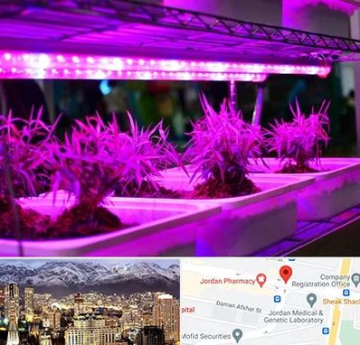 فروش لامپ رشد گیاه در جردن 