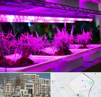 فروش لامپ رشد گیاه در طلاب مشهد