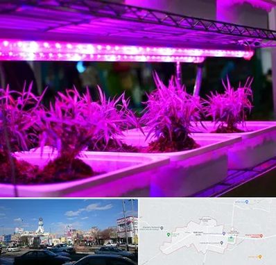 فروش لامپ رشد گیاه در ماهدشت کرج 