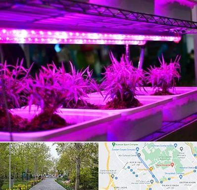 فروش لامپ رشد گیاه در قدوسی غربی شیراز 