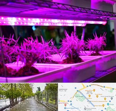 فروش لامپ رشد گیاه در خیابان ارم شیراز 