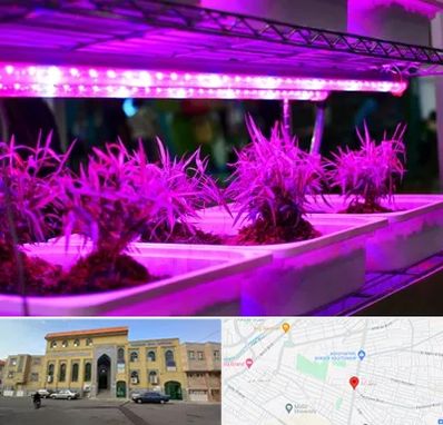 فروش لامپ رشد گیاه در زنبیل آباد قم