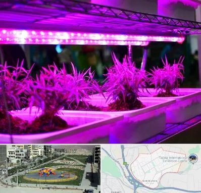 فروش لامپ رشد گیاه در مرزداران تبریز