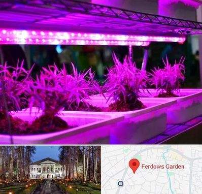 فروش لامپ رشد گیاه در باغ فردوس