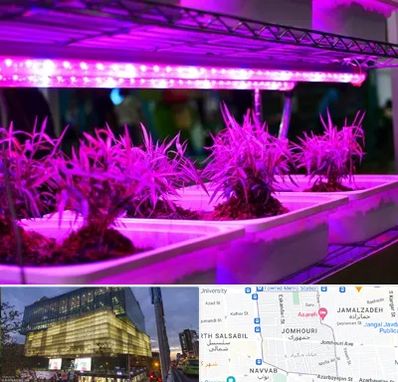 فروش لامپ رشد گیاه در جمهوری 
