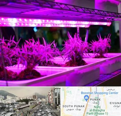 فروش لامپ رشد گیاه در پونک 