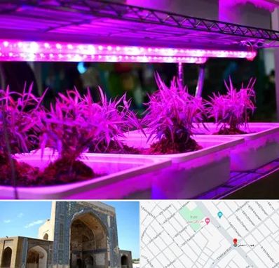 فروش لامپ رشد گیاه در مصلی مشهد