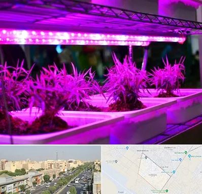فروش لامپ رشد گیاه در کیانمهر کرج 