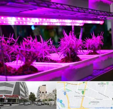 فروش لامپ رشد گیاه در بلوار فردوس 
