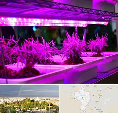 فروش لامپ رشد گیاه در تربت حیدریه