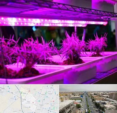 فروش لامپ رشد گیاه در حصارک کرج 