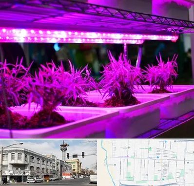 فروش لامپ رشد گیاه در 17شهریور