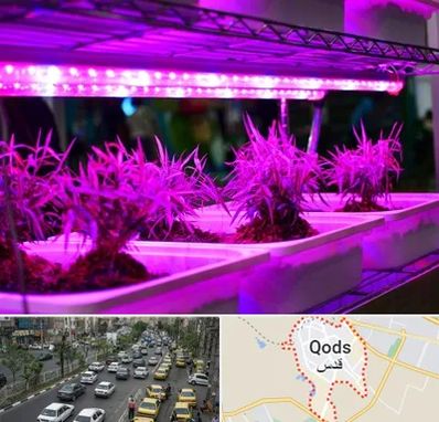 فروش لامپ رشد گیاه در شهر قدس