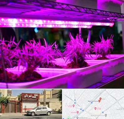 فروش لامپ رشد گیاه در باجک قم