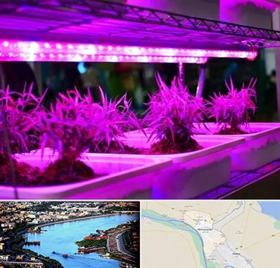 فروش لامپ رشد گیاه در خرمشهر