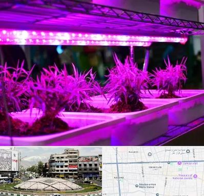 فروش لامپ رشد گیاه در مرکز تهران