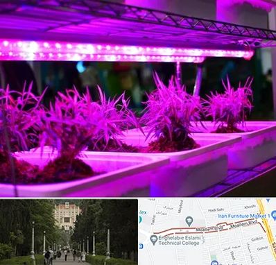 فروش لامپ رشد گیاه در بلوار معلم رشت 