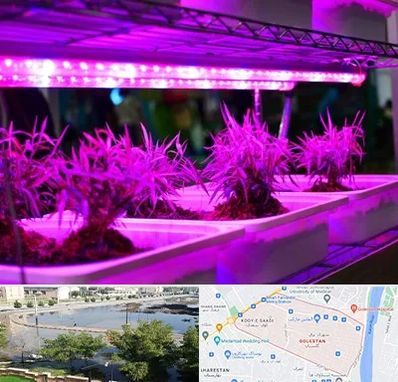 فروش لامپ رشد گیاه در گلستان اهواز 