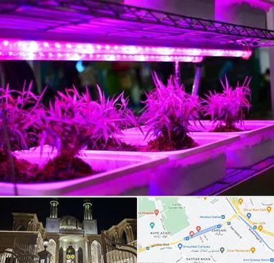فروش لامپ رشد گیاه در زرگری شیراز 