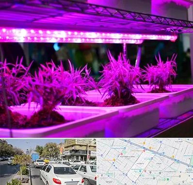 فروش لامپ رشد گیاه در مفتح مشهد 