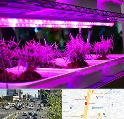 فروش لامپ رشد گیاه در ستاری 