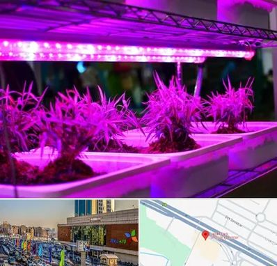 فروش لامپ رشد گیاه در لاله پارک تبریز