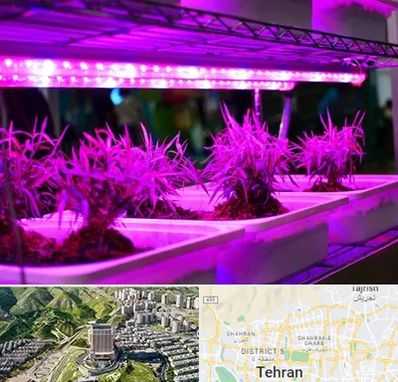 فروش لامپ رشد گیاه در شمال تهران 