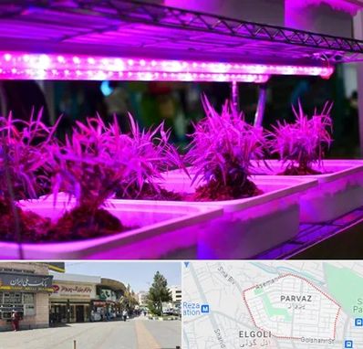 فروش لامپ رشد گیاه در پرواز تبریز